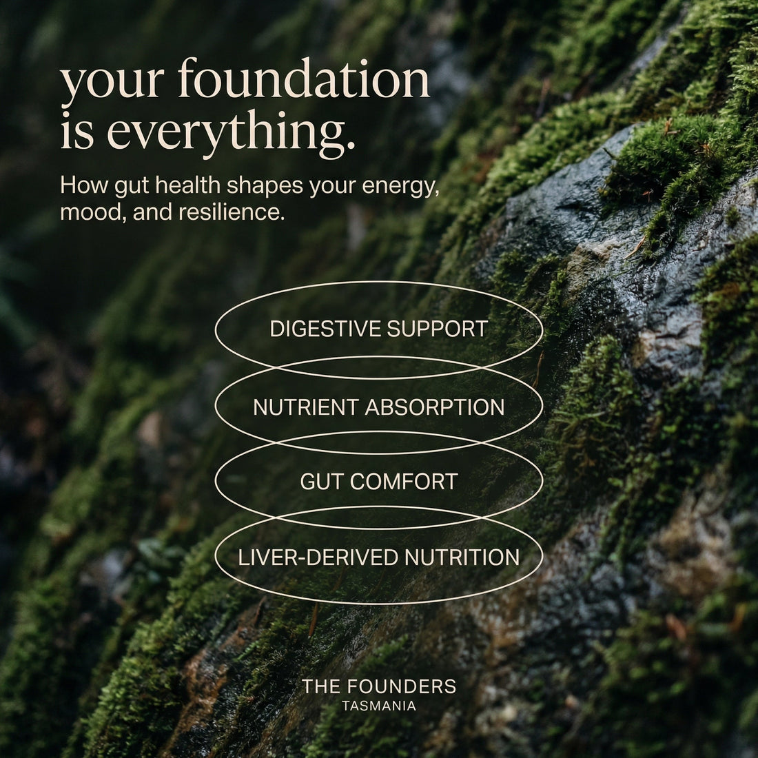 How to Rebuild Health Slowly and Steadily