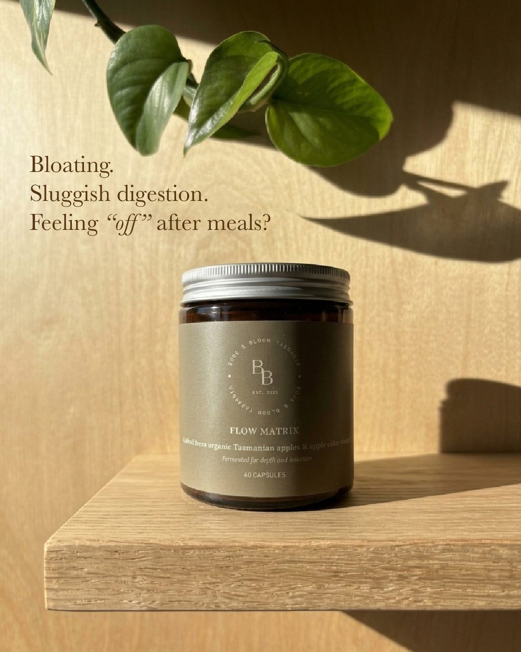 Flow Matrix - Organically Grown Tasmanian Apple Cider Vinegar Capsules