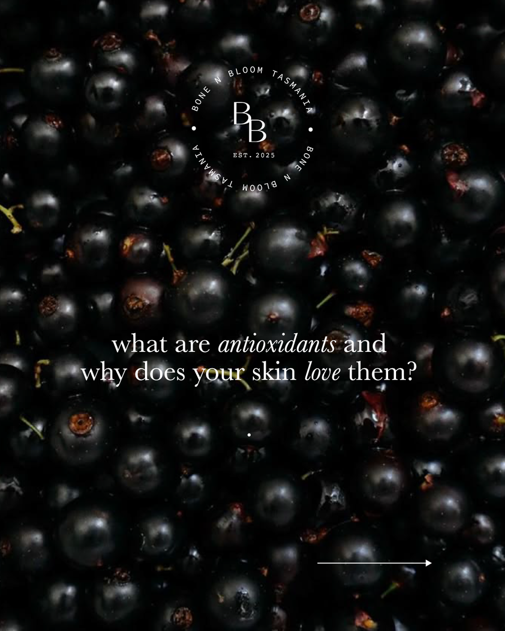 LIMITED RELEASE: Berry Bloom - Tasmanian Blackcurrant Skin | 150g Powder