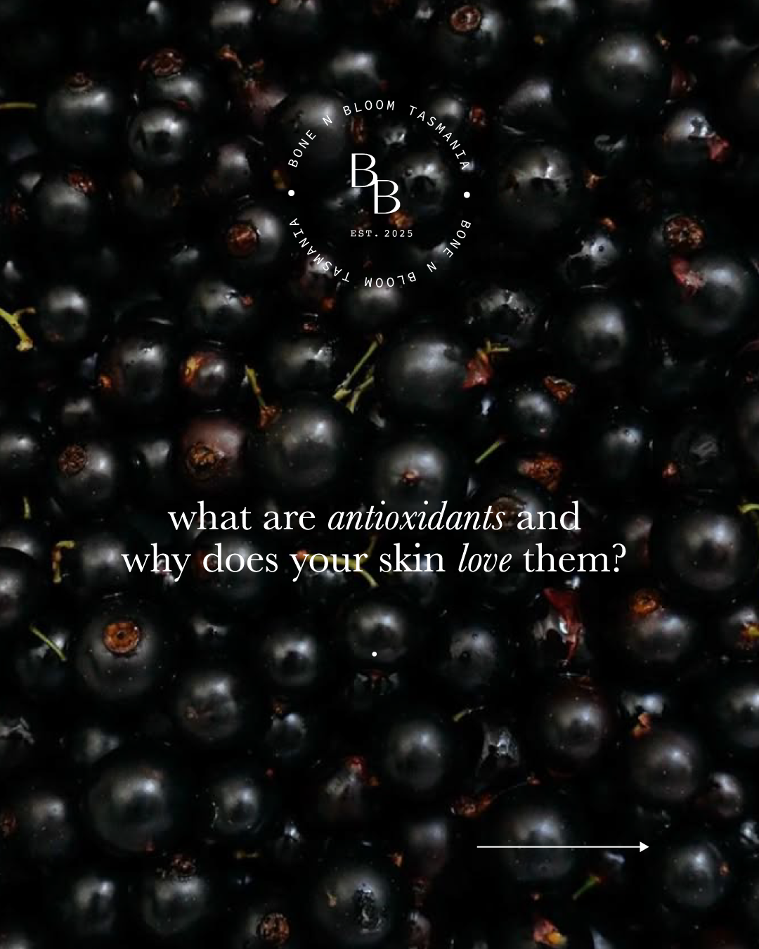 LIMITED RELEASE: Berry Bloom - Tasmanian Blackcurrant Skin | 150g Powder