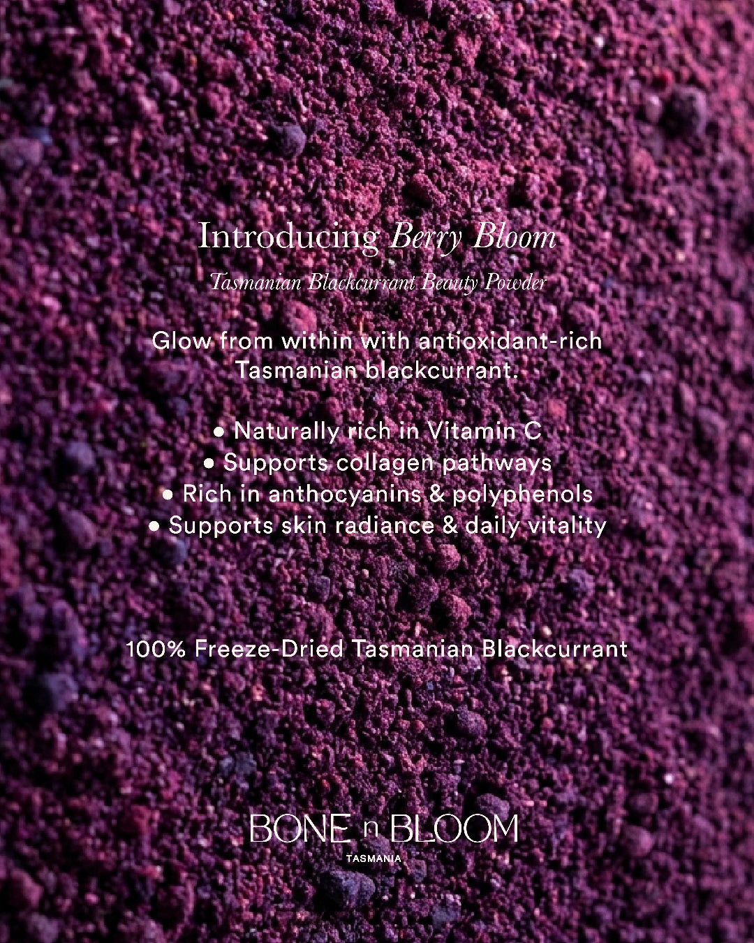 LIMITED RELEASE: Berry Bloom - Tasmanian Blackcurrant Skin | 150g Powder