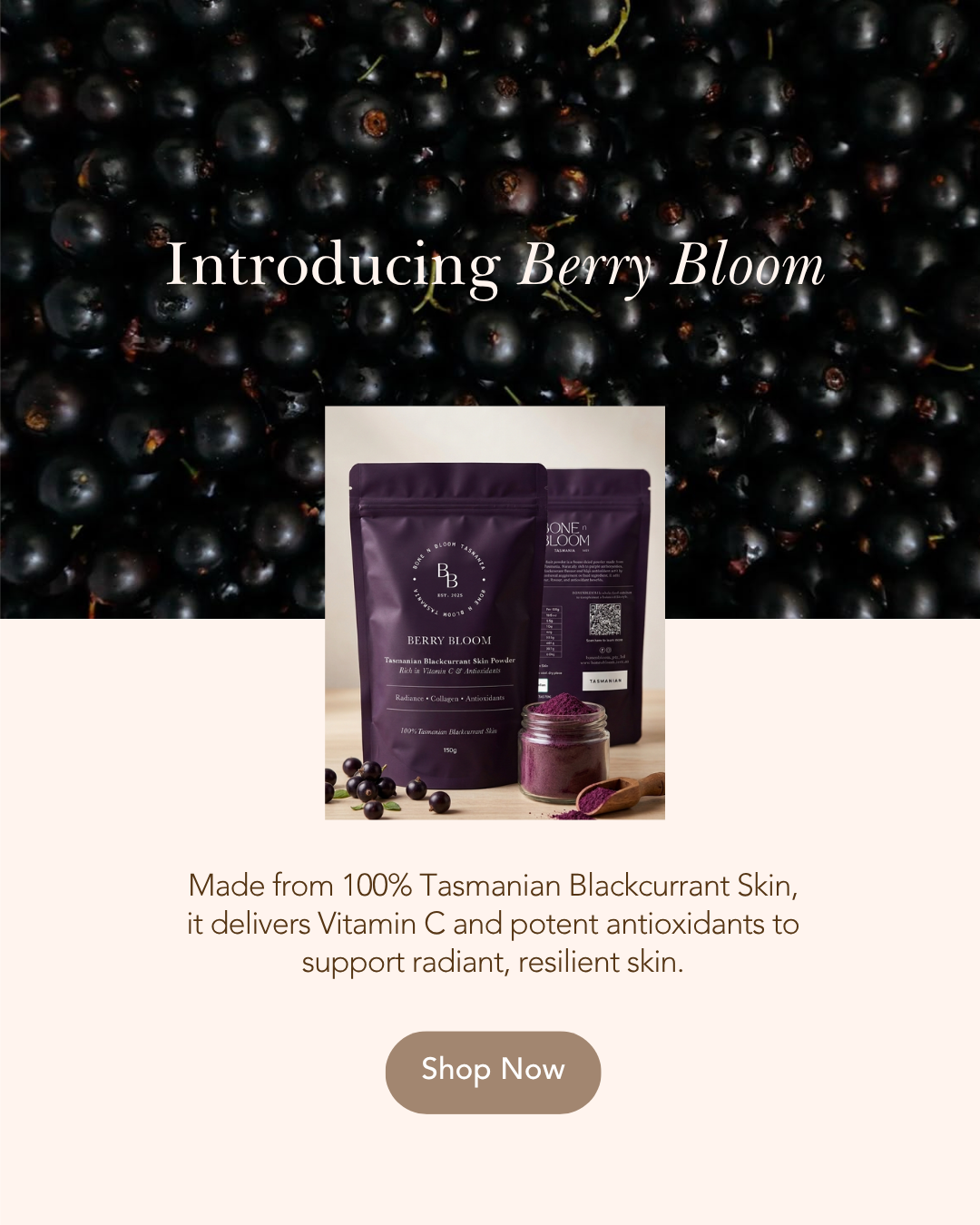 LIMITED RELEASE: Berry Bloom - Tasmanian Blackcurrant Skin | 150g Powder