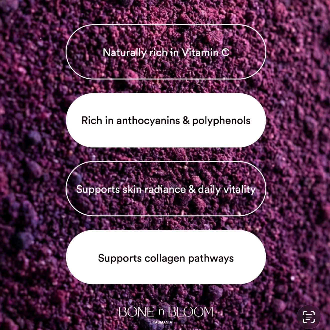 LIMITED RELEASE: Berry Bloom - Tasmanian Blackcurrant Skin | 150g Powder