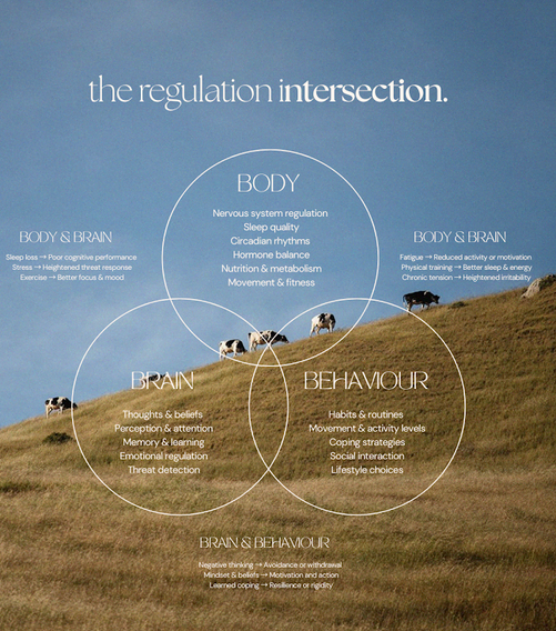 THE FOUNDERS CORE RESTORE TRIO – Red + Gold + Flow Matrix Bundle