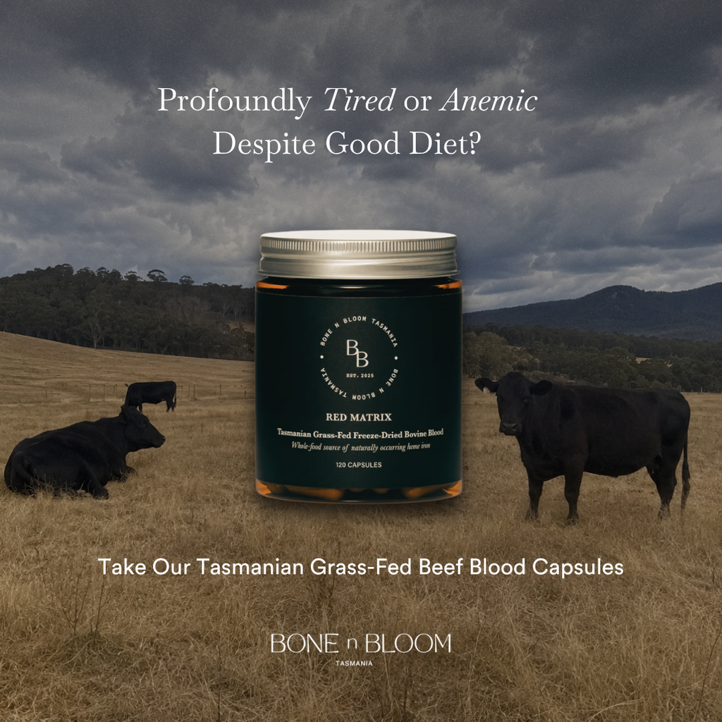 Red Matrix - Tasmanian Grass-Fed Beef Blood Capsules